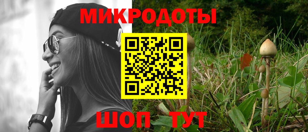 Псилоцибиновые грибы мухоморы Гулькевичи