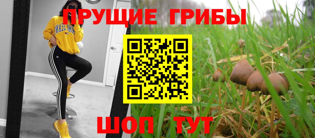 Псилоцибиновые грибы мухоморы  Галлюциногенные грибы GOLDEN TEACHER  Гулькевичи  Вход с VPN 